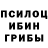 Галлюциногенные грибы Magic Shrooms Starbacks TV