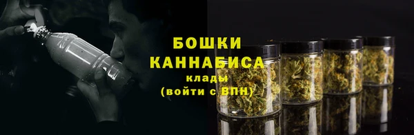 спайс Баксан