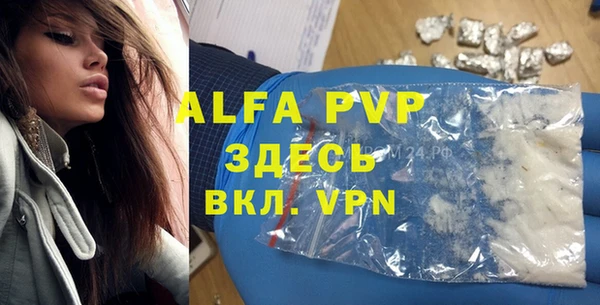 молекула духа Осташков