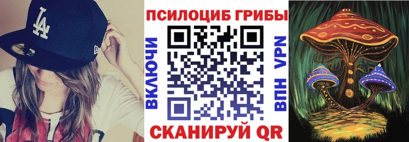 Галлюциногенные грибы Psilocybe  Нижний Ломов 